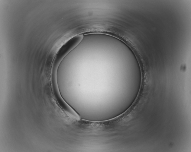 X0000112041081200908241556