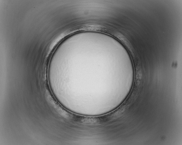 X0000112041083200908241556