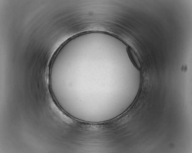 X0000112041084200908241556