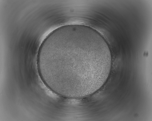 X0000112041086200908241556