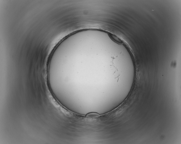 X0000112041088200908241556