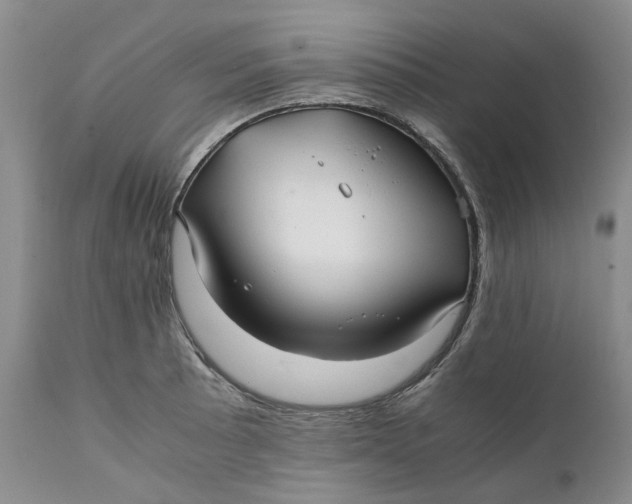 X0000112041089200908241556