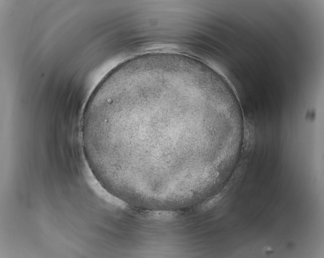 X0000112041090200908241556