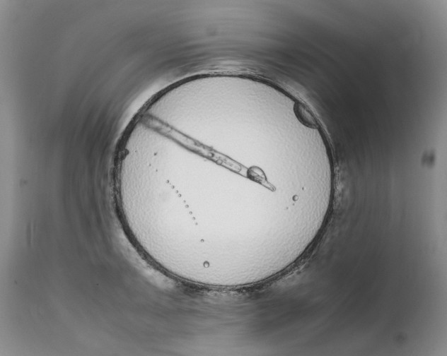 X0000112041091200908241556