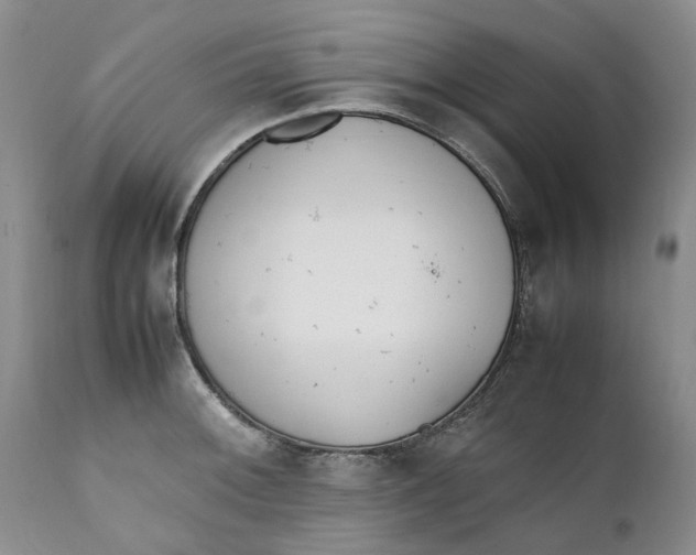 X0000112041092200908241556