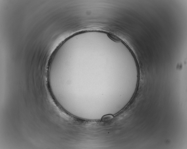 X0000112041093200908241556