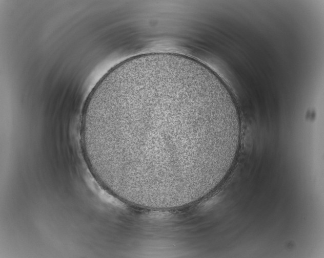 X0000112041094200908241556