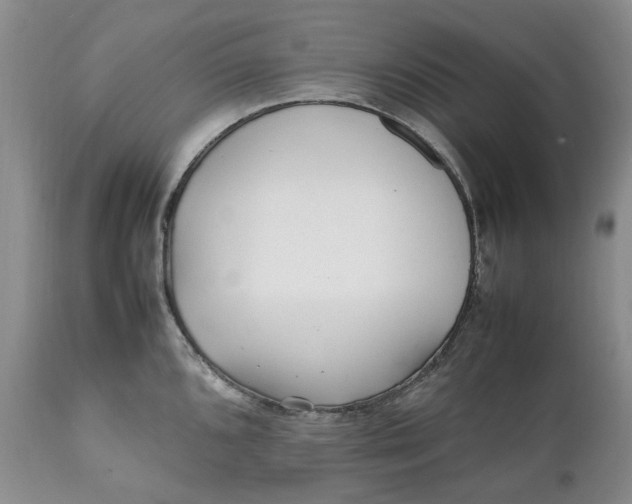 X0000112041096200908241556