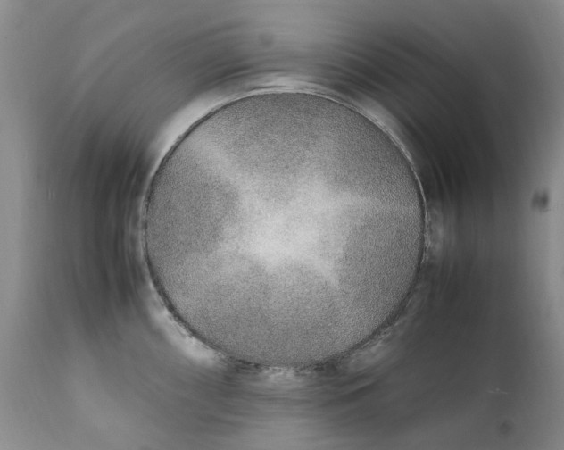 X0000112041098200908241556