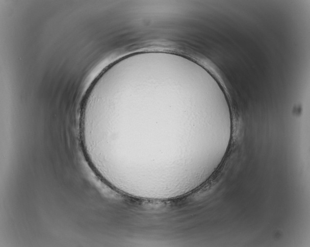 X0000112041099200908241556