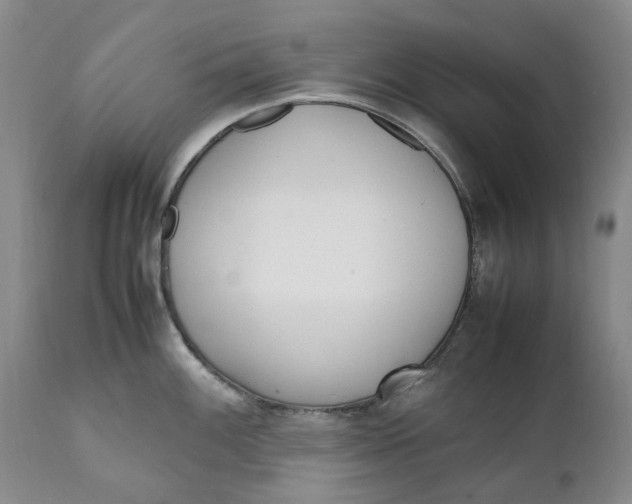 X0000112041100200908241556