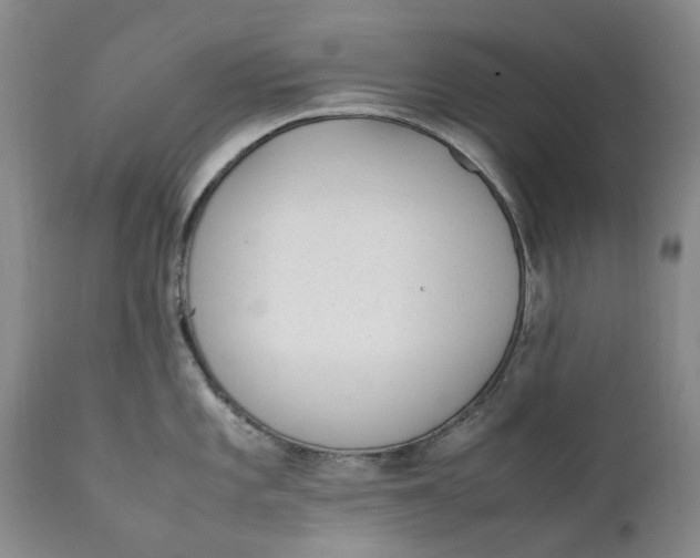 X0000112041101200908241556