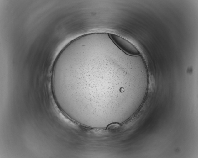 X0000112041102200908241556