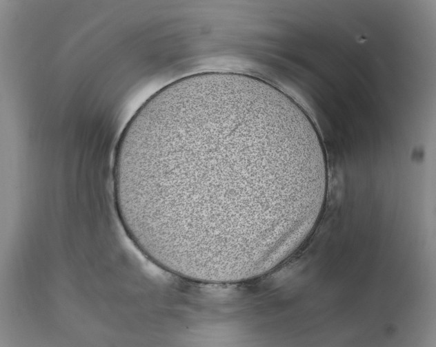 X0000112041103200908241556