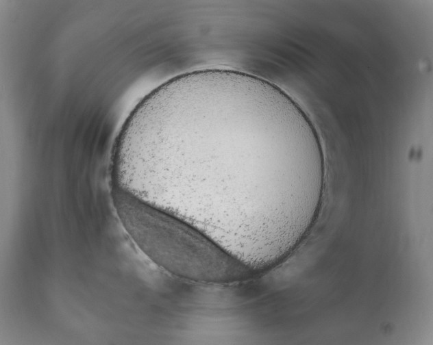 X0000112041104200908241556