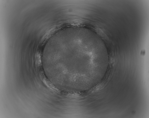 X0000112041106200908241555