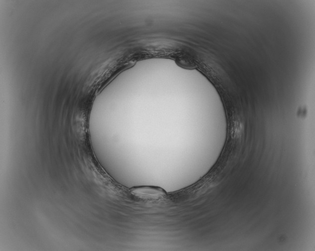 X0000112041108200908241555