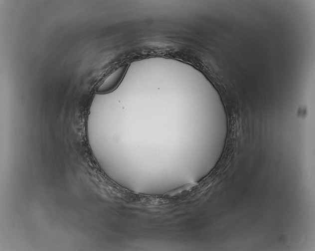 X0000112041109200908241555