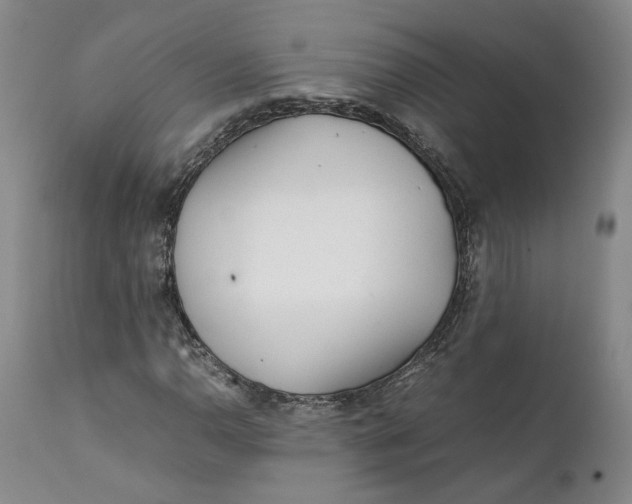 X0000112041110200908241556