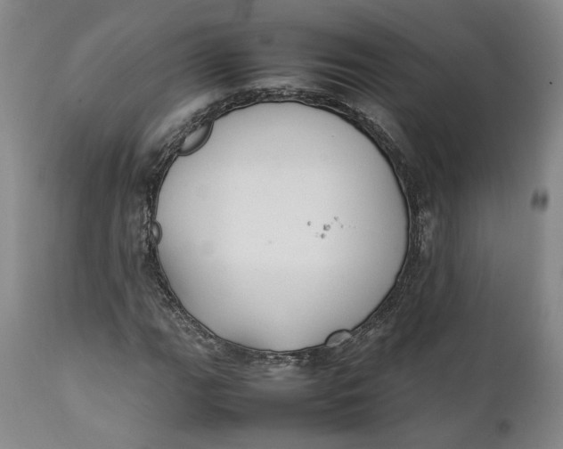 X0000112041111200908241556