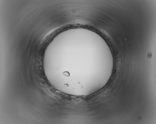 X0000112041112200908241556