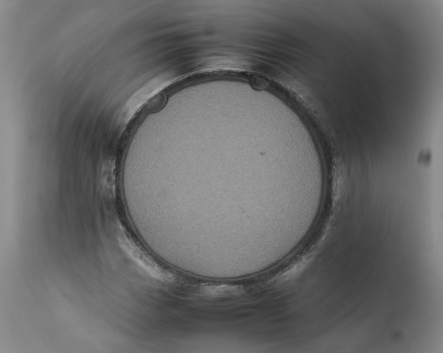 X0000112041113200908241556