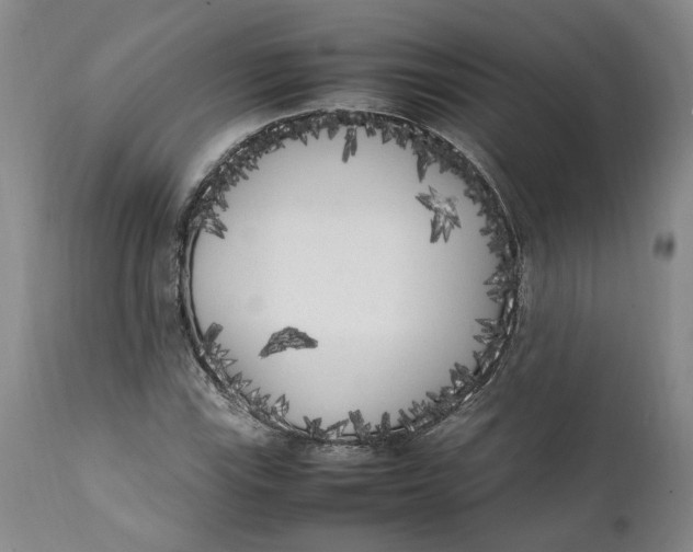 X0000112041115200908241556