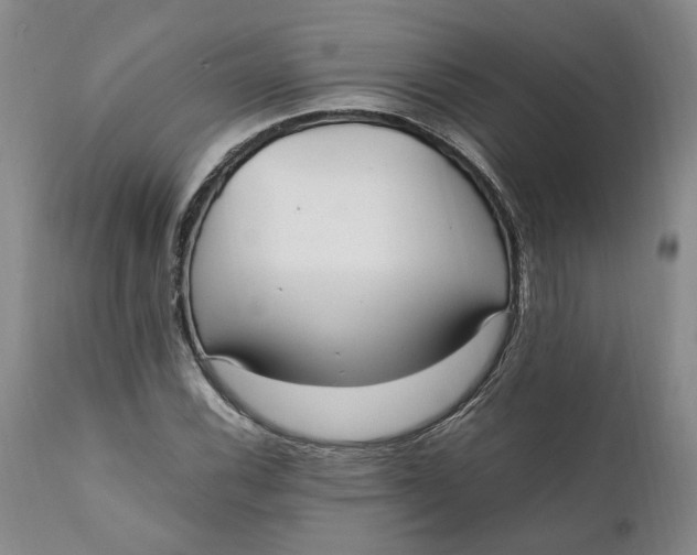 X0000112041116200908241556