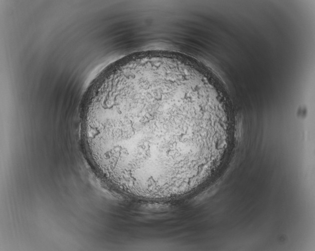 X0000112041117200908241556