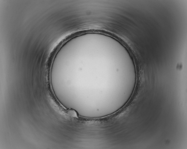 X0000112041118200908241556