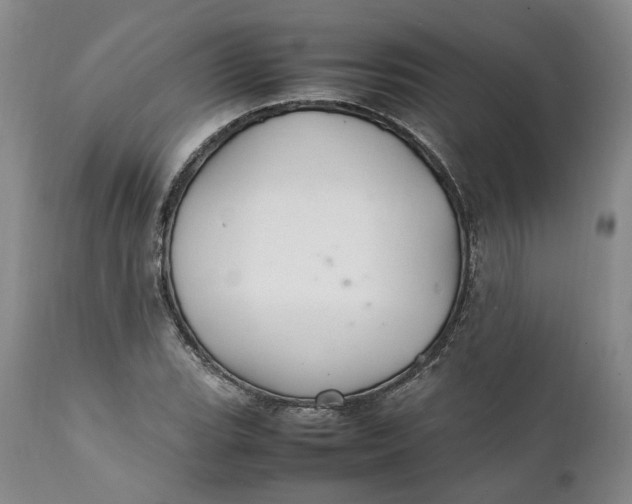 X0000112041119200908241556