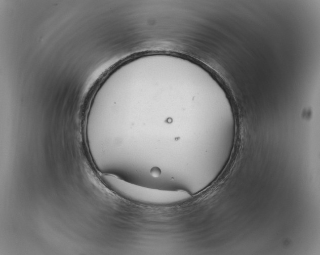 X0000112041120200908241556