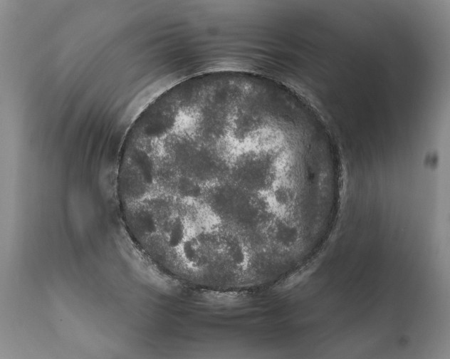 X0000112041121200908241556