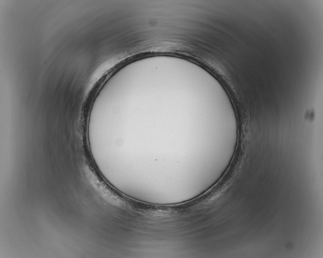 X0000112041122200908241556