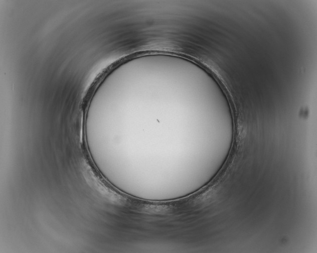 X0000112041123200908241556