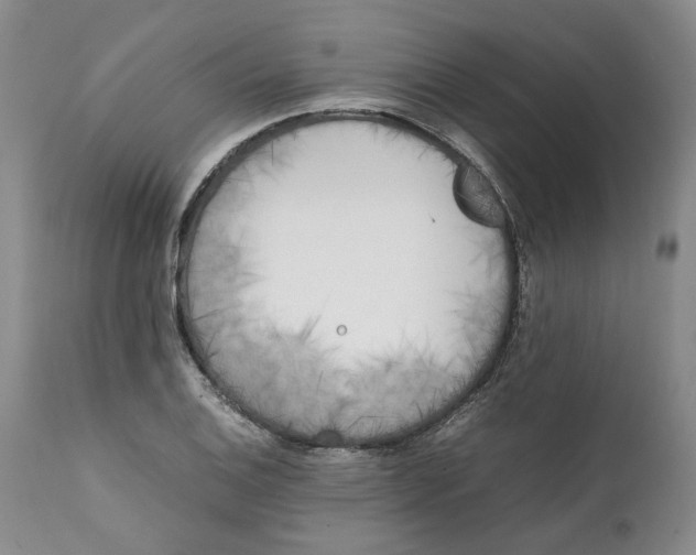 X0000112041124200908241556