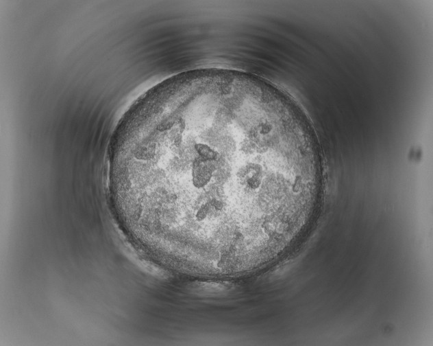 X0000112041125200908241556