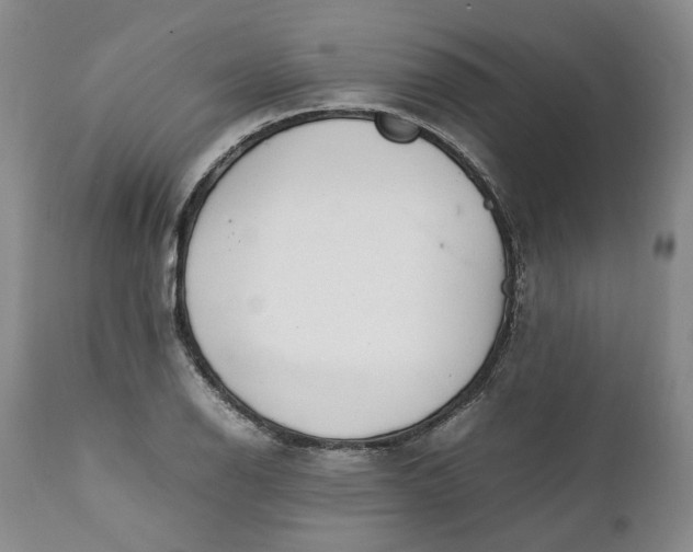 X0000112041126200908241556