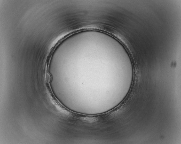 X0000112041127200908241556