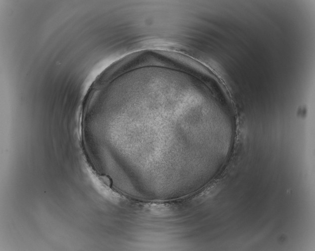 X0000112041128200908241556