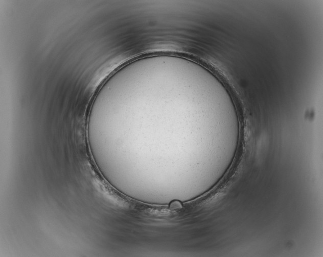 X0000112041129200908241556