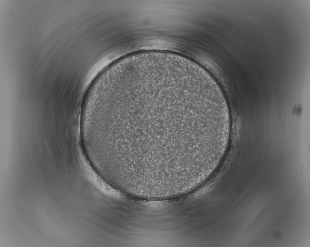 X0000112041130200908241556