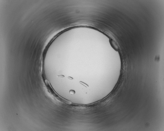 X0000112041132200908241556