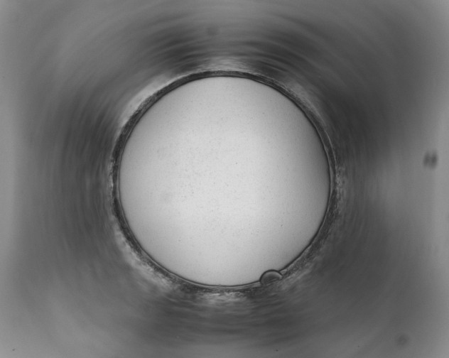 X0000112041133200908241556