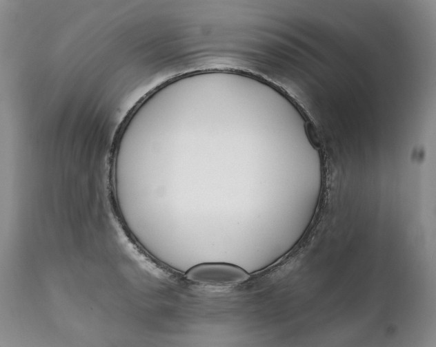 X0000112041134200908241556