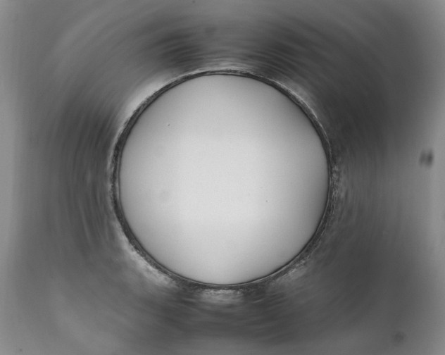 X0000112041135200908241556