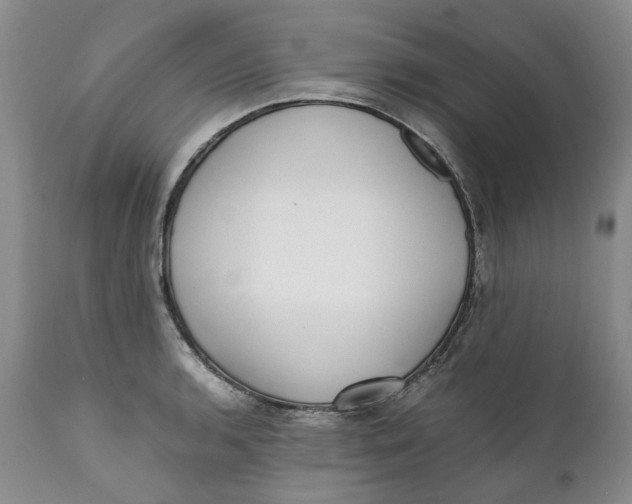 X0000112041136200908241556