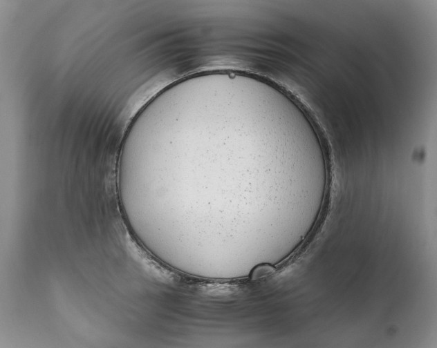 X0000112041137200908241556