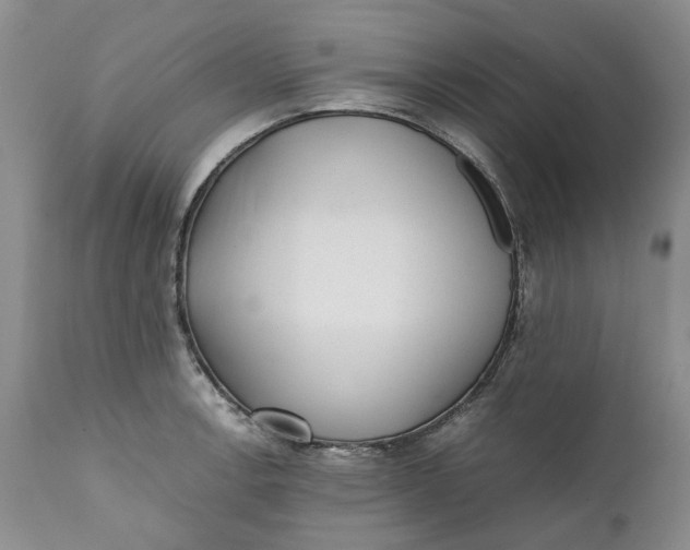 X0000112041138200908241556