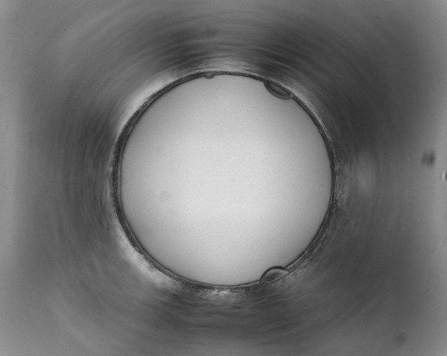 X0000112041139200908241556